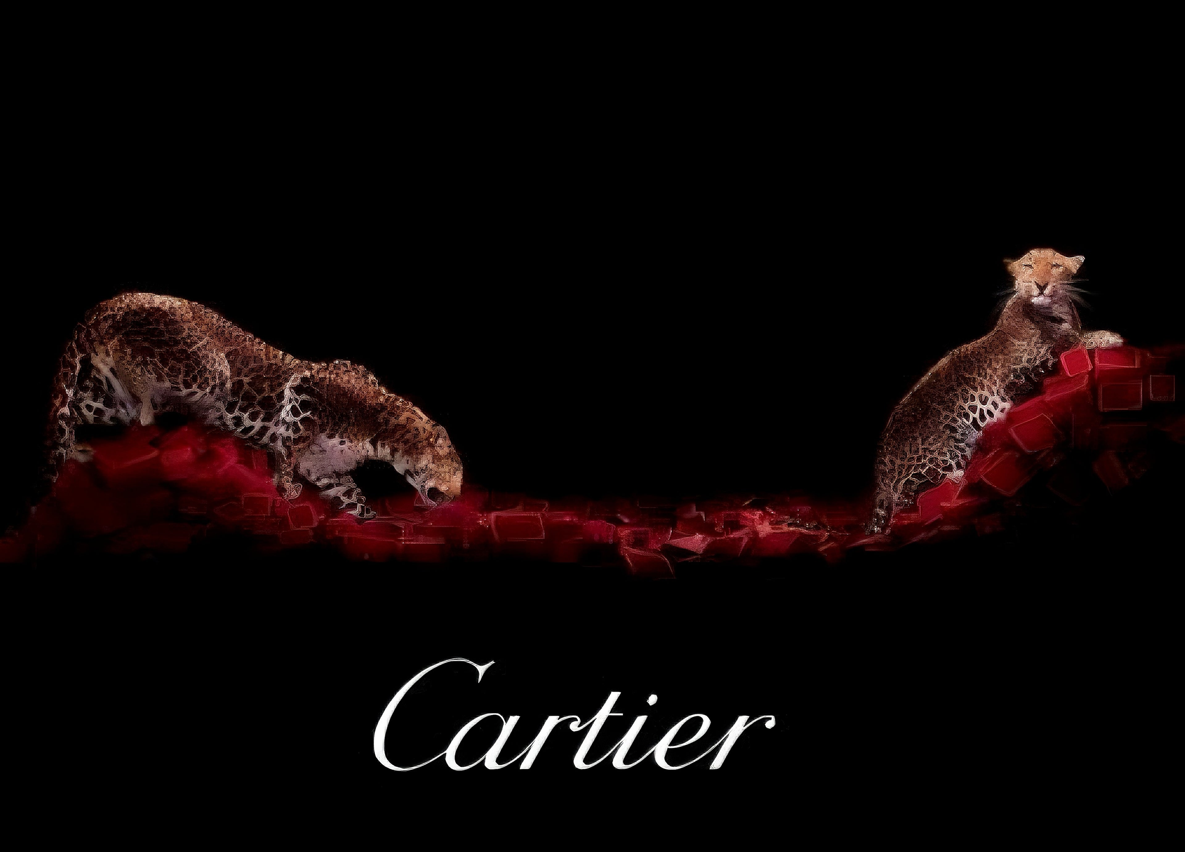 Cartier & more